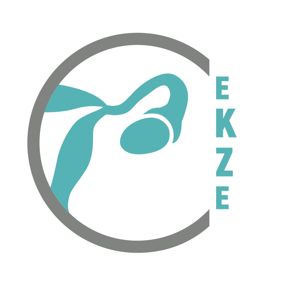 EKZE-Logo für die App im Krankenhaus